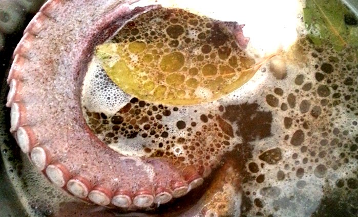 Ahtapot Nasıl Temizlenir MAVİYE TUTKUN