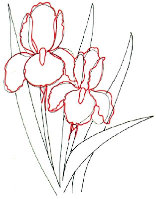How to Draw an Iris in 5 Steps How to Draw an Iris in 5 Steps