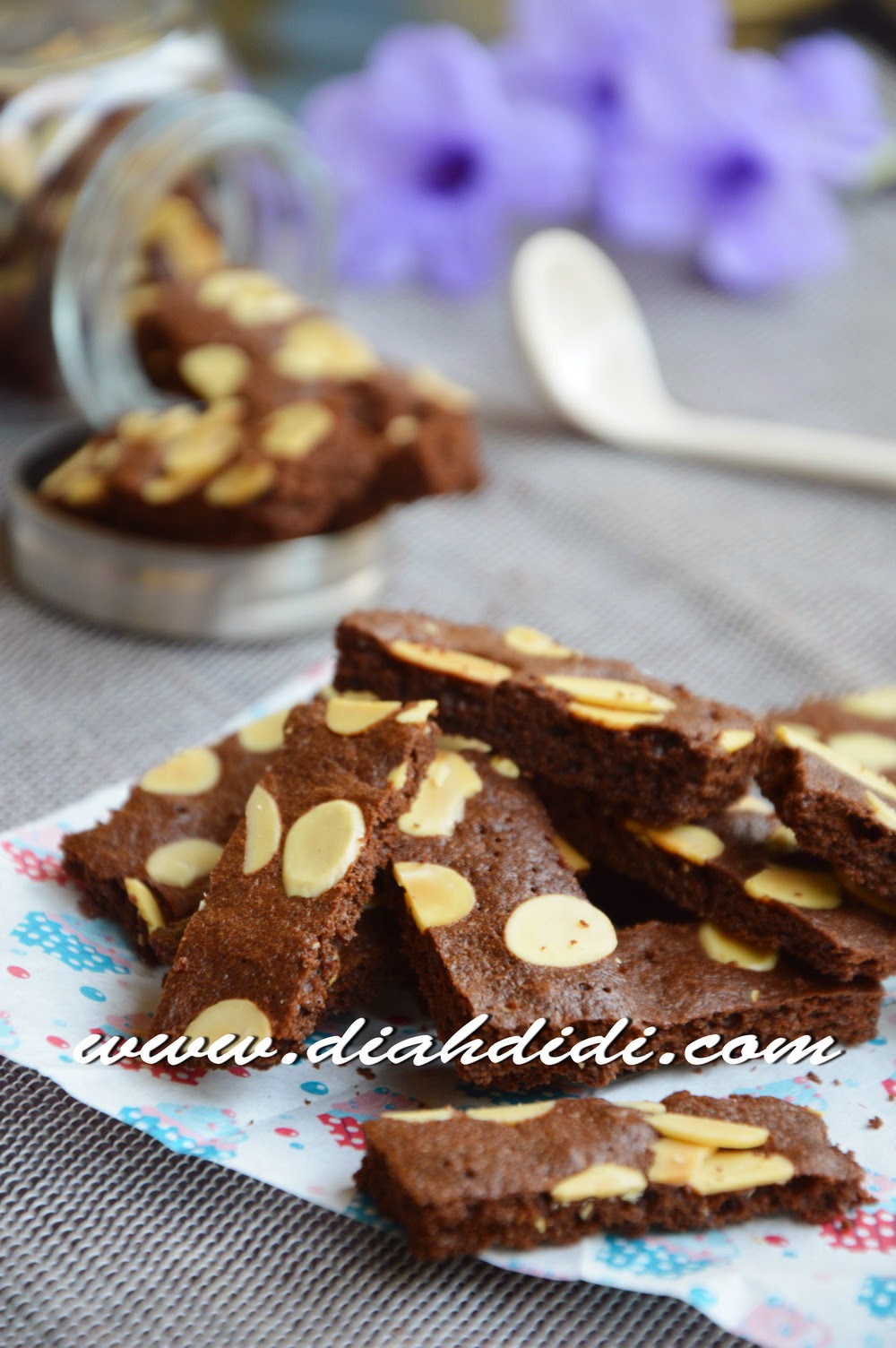 Diah Didi's Kitchen Brownies Cookies Praktis