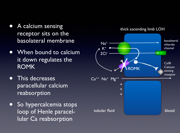 hypokalemia and metabolic alkalosis Precious Bodily Fluids