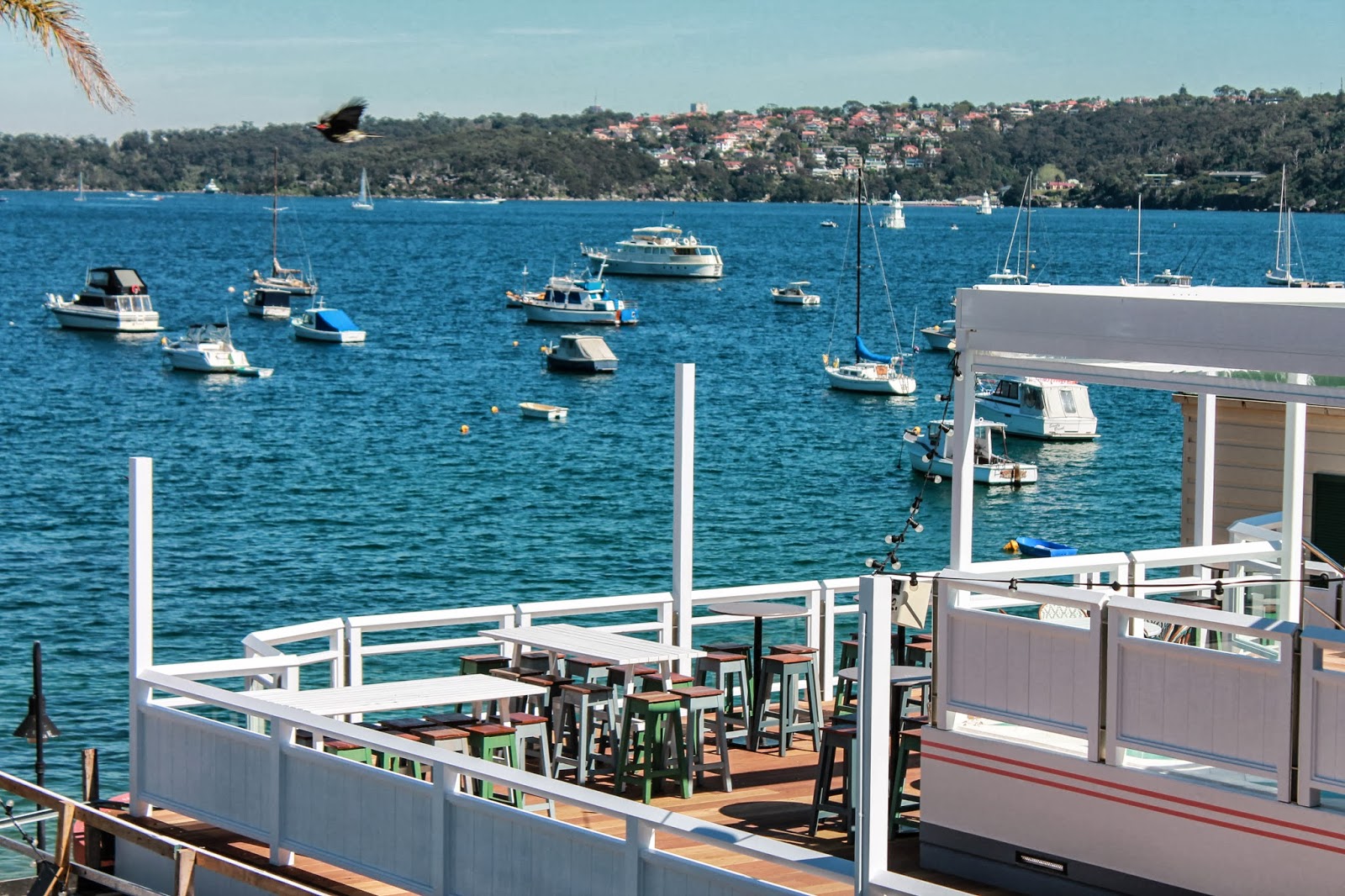 eat read love... Watson's Bay Boutique Hotel