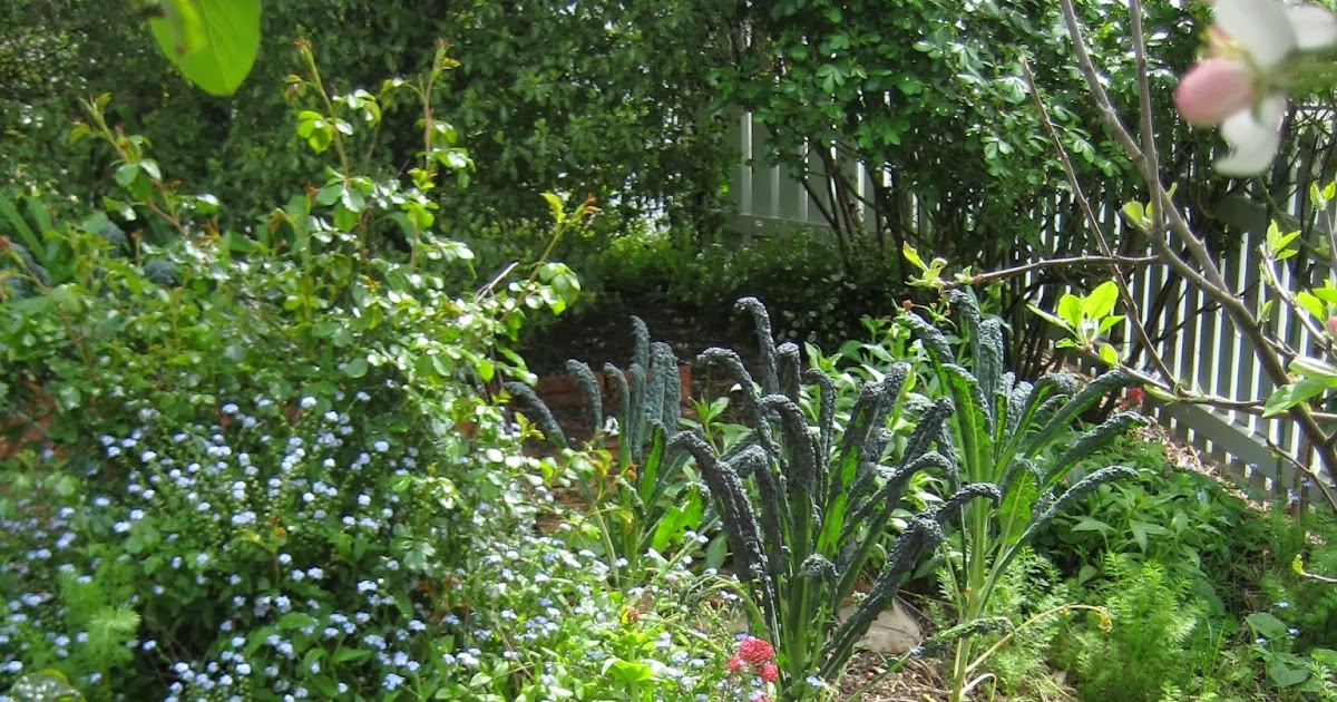 All the Blue Day How to Potter in the Garden