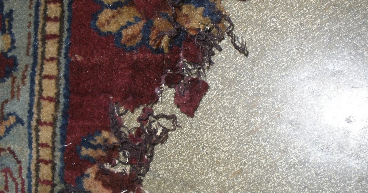 Kosker Traditional Rug Repair Water Damaged Indian Rug Repair Result