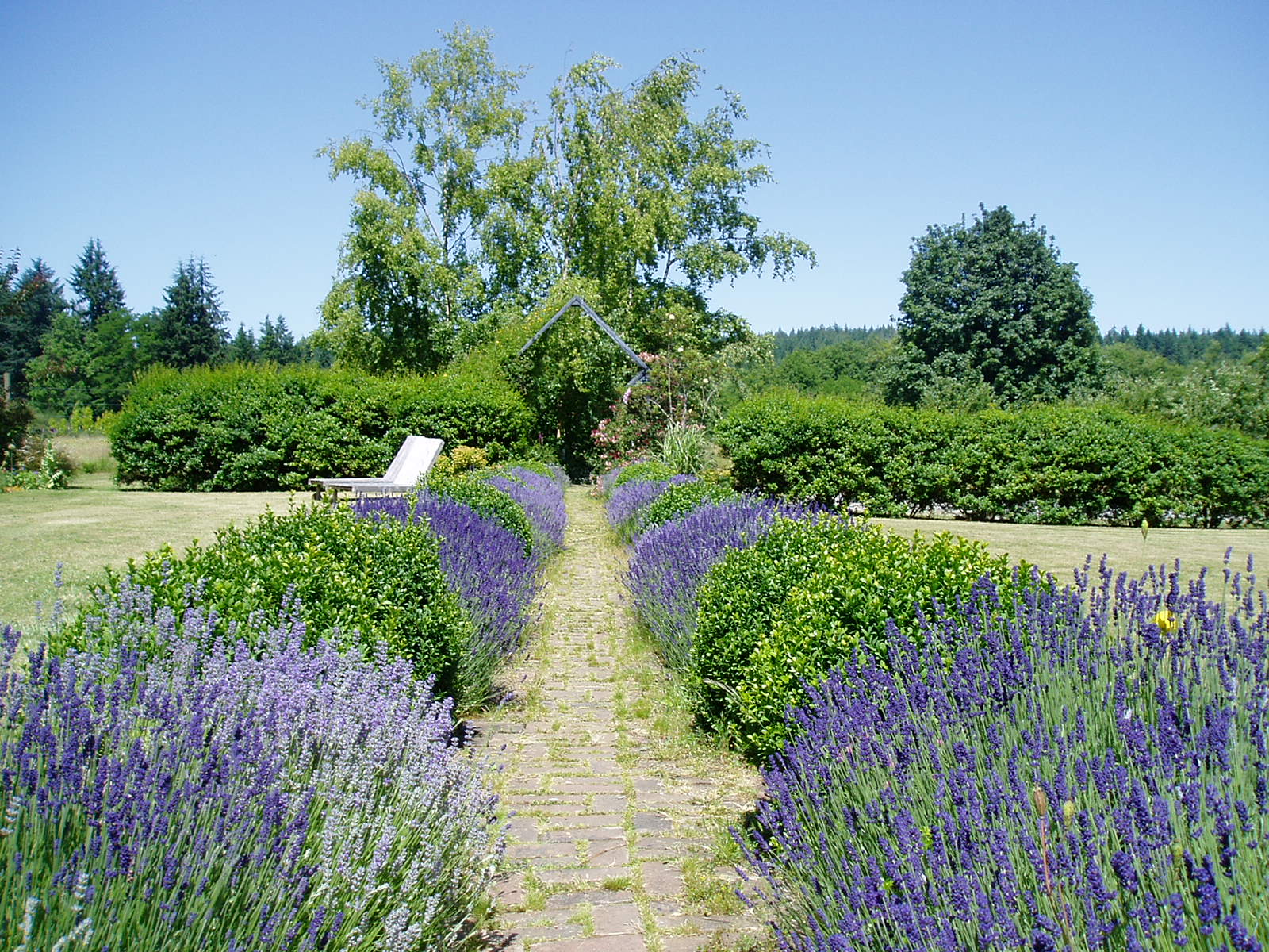 Visit the Desert Northwest Drought Tolerant Plants with Ian Barclay