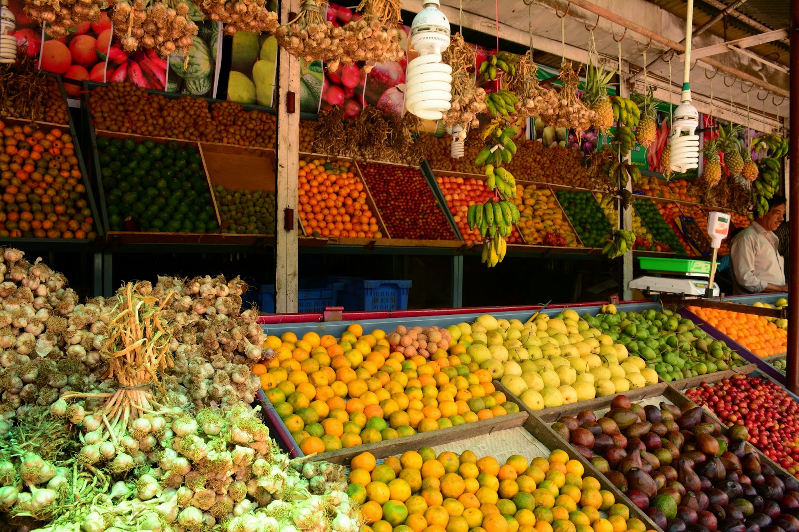 Our Travel Tales Fruits of Kodaikanal