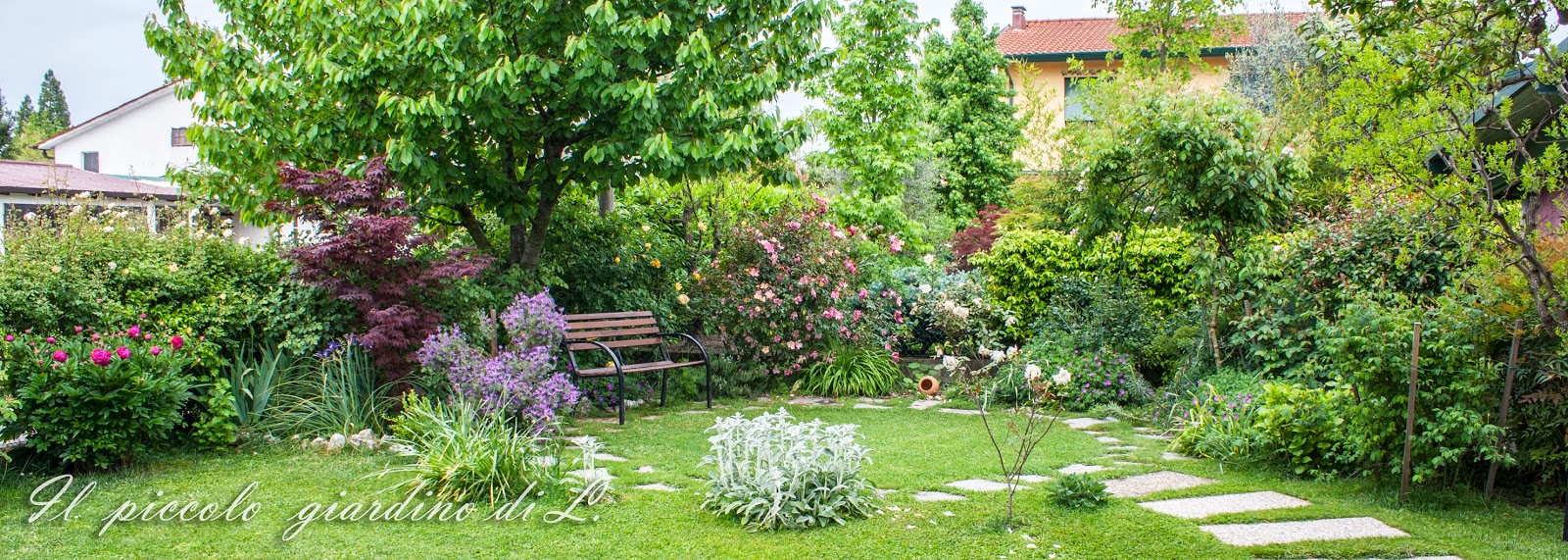 Il piccolo giardino di L. Una visione d'insieme del mio piccolo giardino
