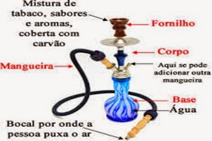 O que acontece a um organismo quando agudamente deixado fumando