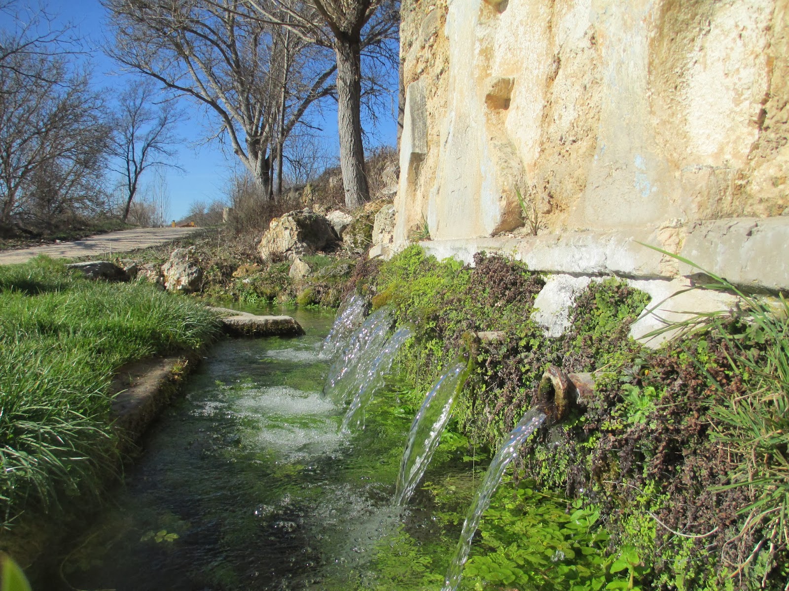 Foto de Fuente de los siete caños en Valdeavellano, Guadalajara