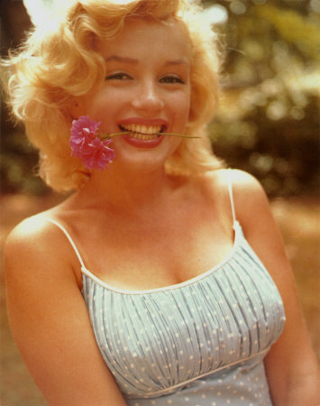 Marilyn Monroe Imperfection is beauty Madness is genius and its better to 