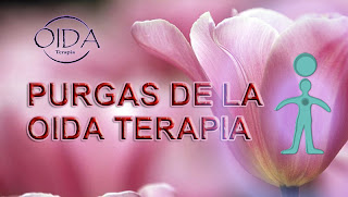 PURGAS DE LA OIDA TERAPIA