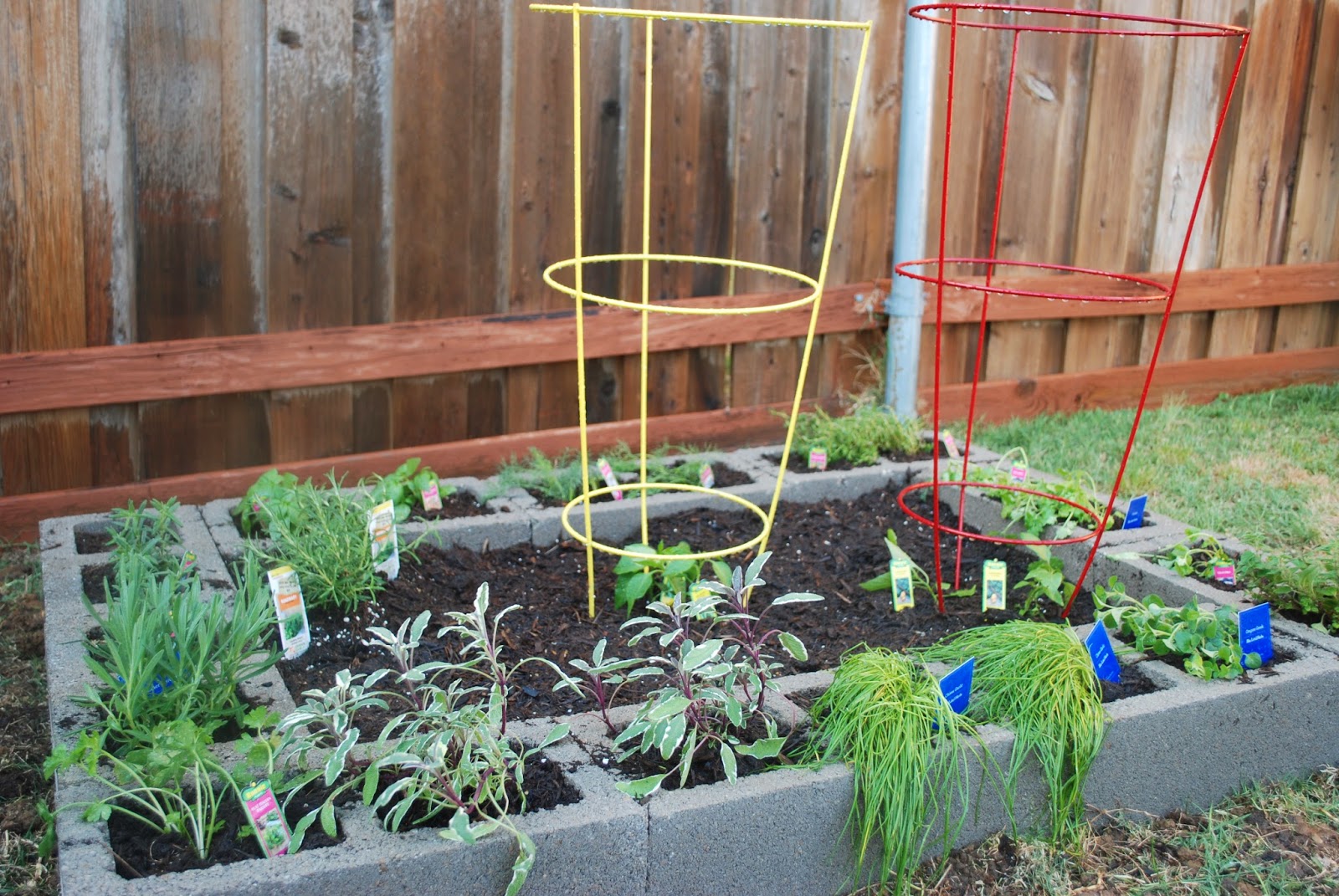 Made by Mags: Cinder Block Herb Garden