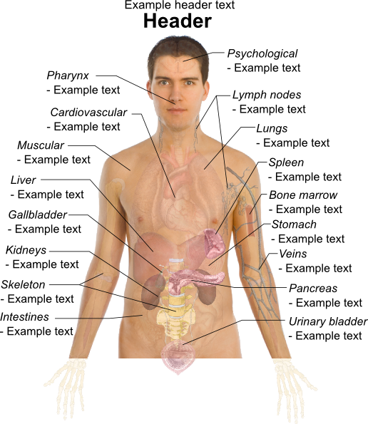 Sowhridham: diagram of human internal organs