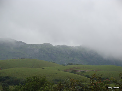 Wagamon Meadows