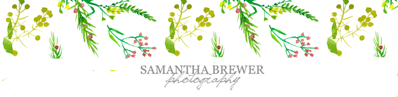 Samantha Brewer Photography