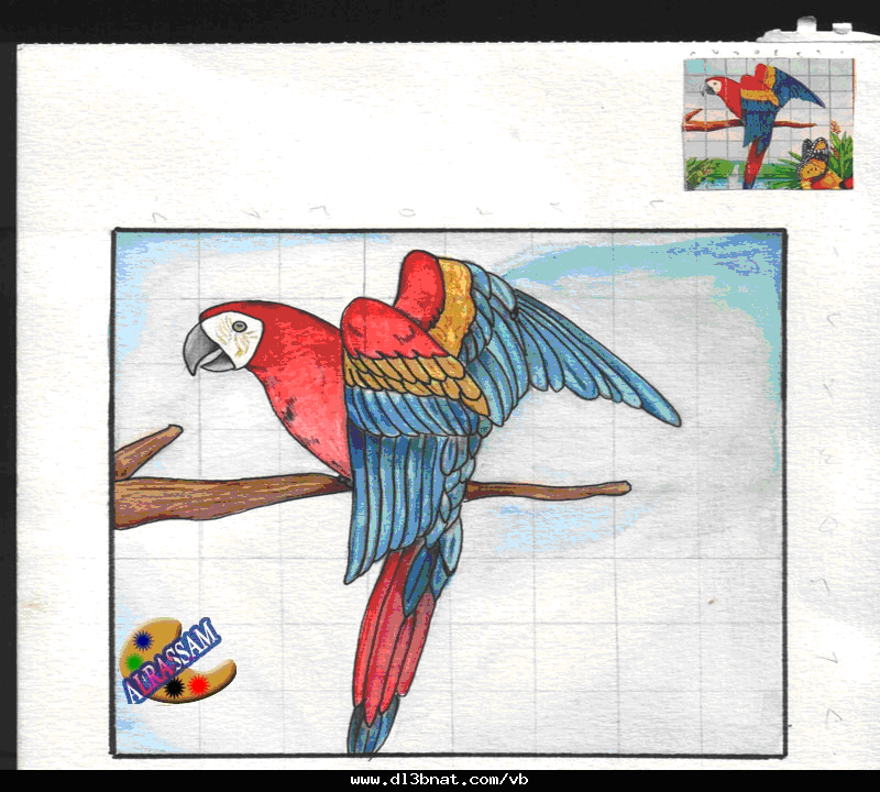 تصميم وإنتاج الرسوم التعليمية تكبير المواد التعليمية