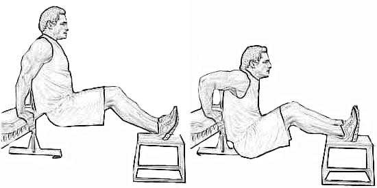 Dips Between Two Benches Bodybuilding For Health