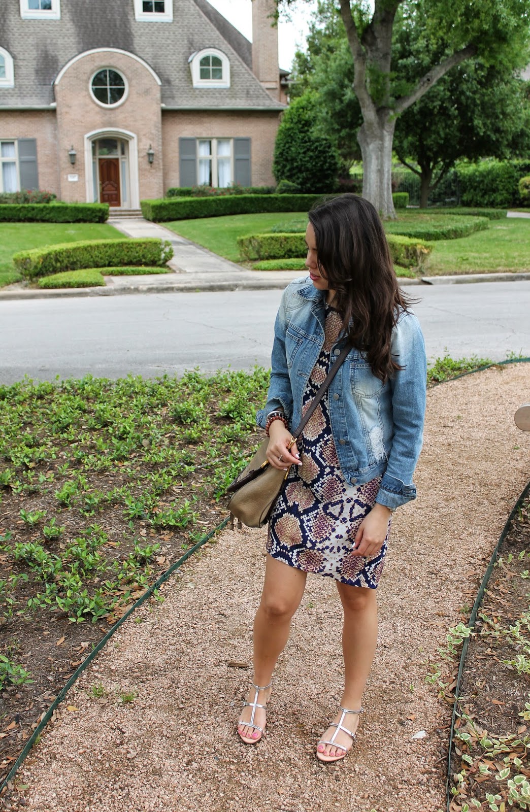 Snakeskin & Giveaway - Adored By Alex