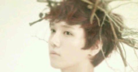 I M Your Sunshine Ff Yesung Oneshoot Haa My Husband Is