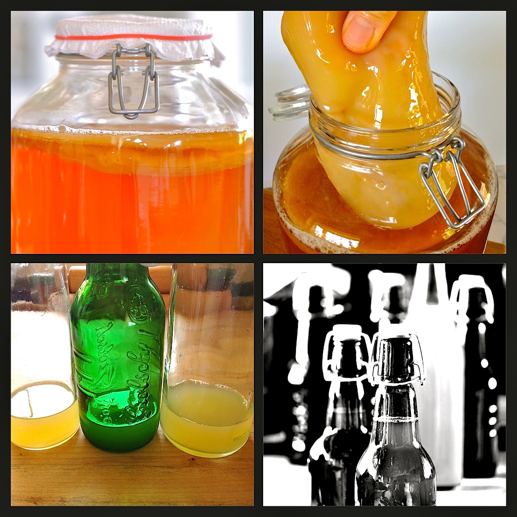 JULES FOOD... Kombucha brewed with Homemade Mother Scoby and 2nd