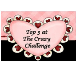 Top 3 at the Crazy Challenge 07/05/12