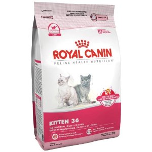 Royal Canin Dry Kitten food, Kitten 36 Formula, 15-Pound Bag-Royal Canin
