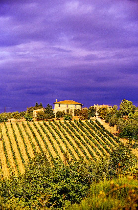 'Strada Chiantigiana' between Siena and Castellina in Chianti, Tuscany, Italy photo 'Strada Chiantigiana' between Siena and Castellina in Chianti, Tuscany, Italy photo