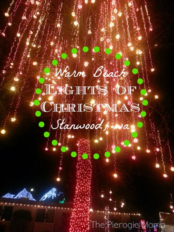 the pierogie mama lights extravaganza lights of the pierogie mama lights extravaganza lights of