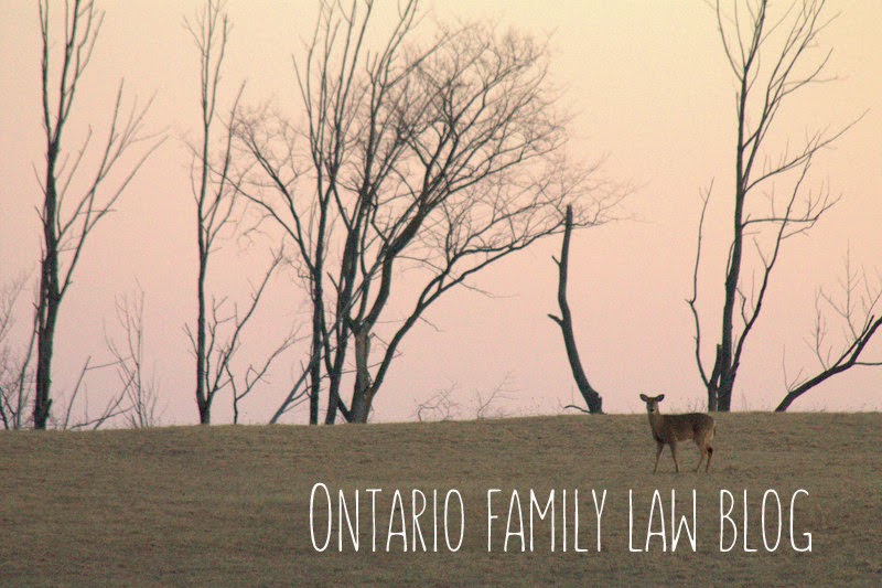 Ontario family law case studies