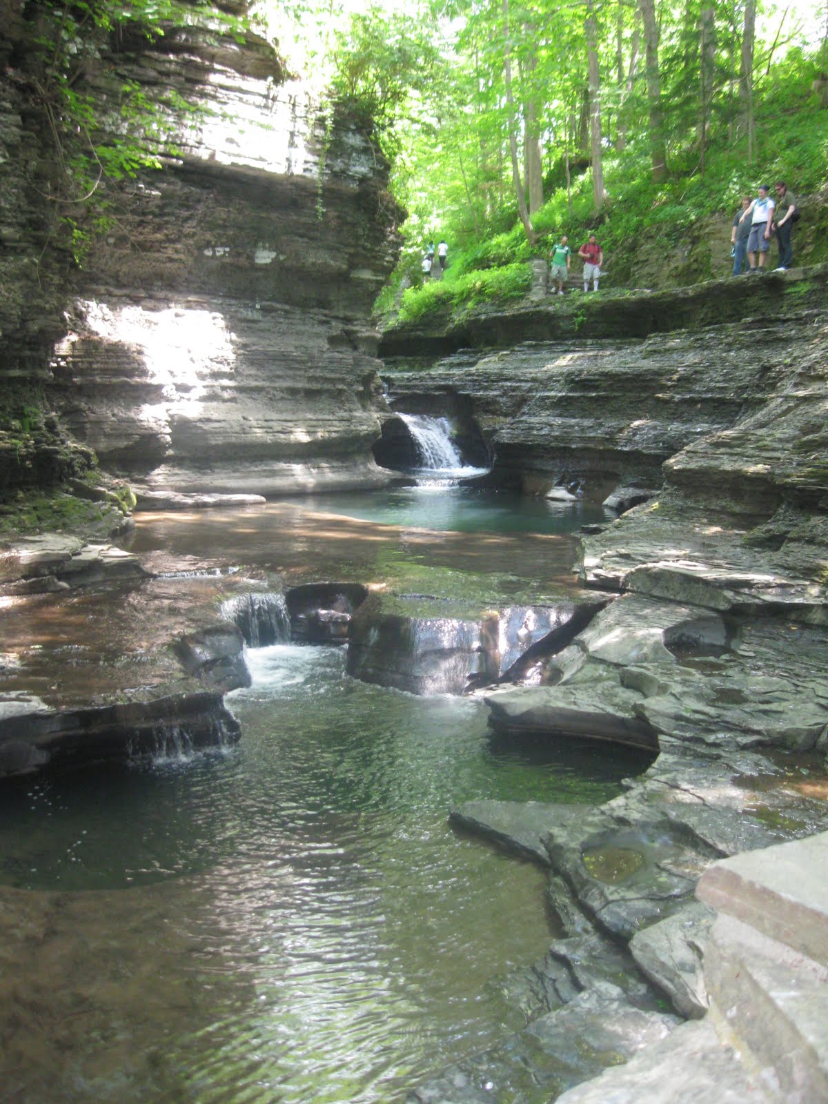 2011 ILC at Cornell Ithaca Truly Is