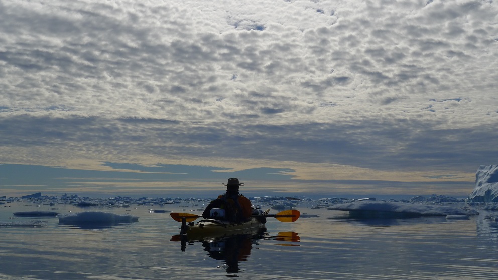 Guided kayak tours in Greenland
