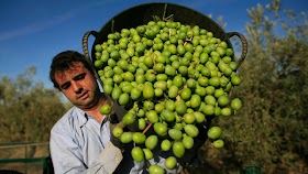 Mediterranean diet reduced the risk of heart disease