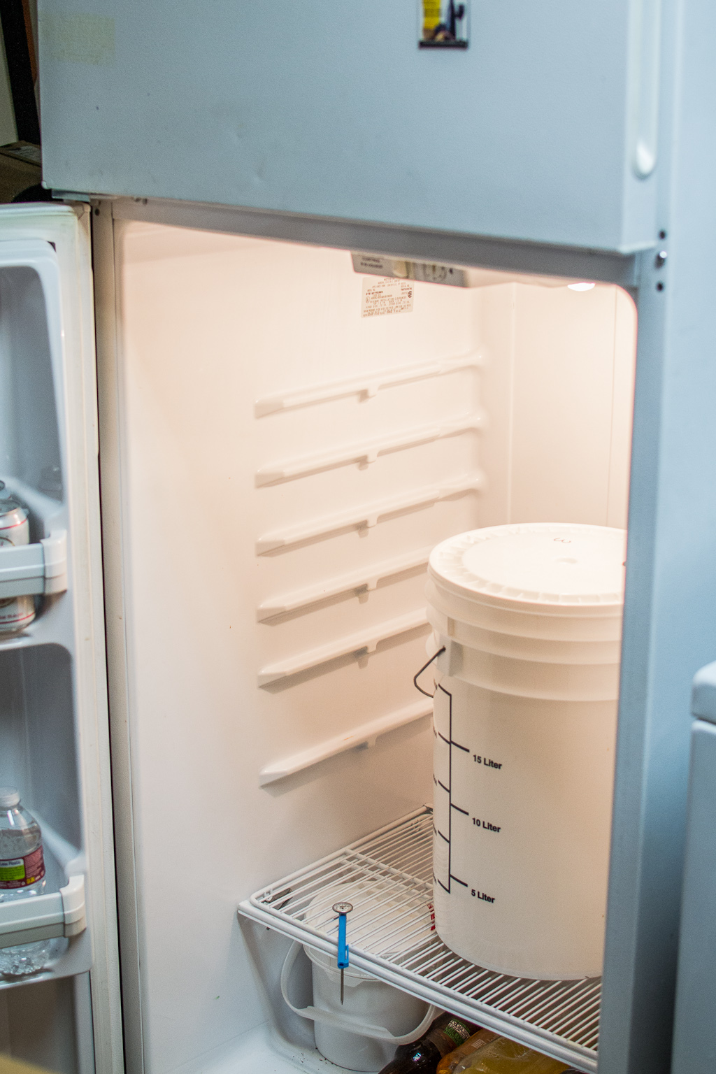 The best money I've spent on homebrewing Bertus Brewery