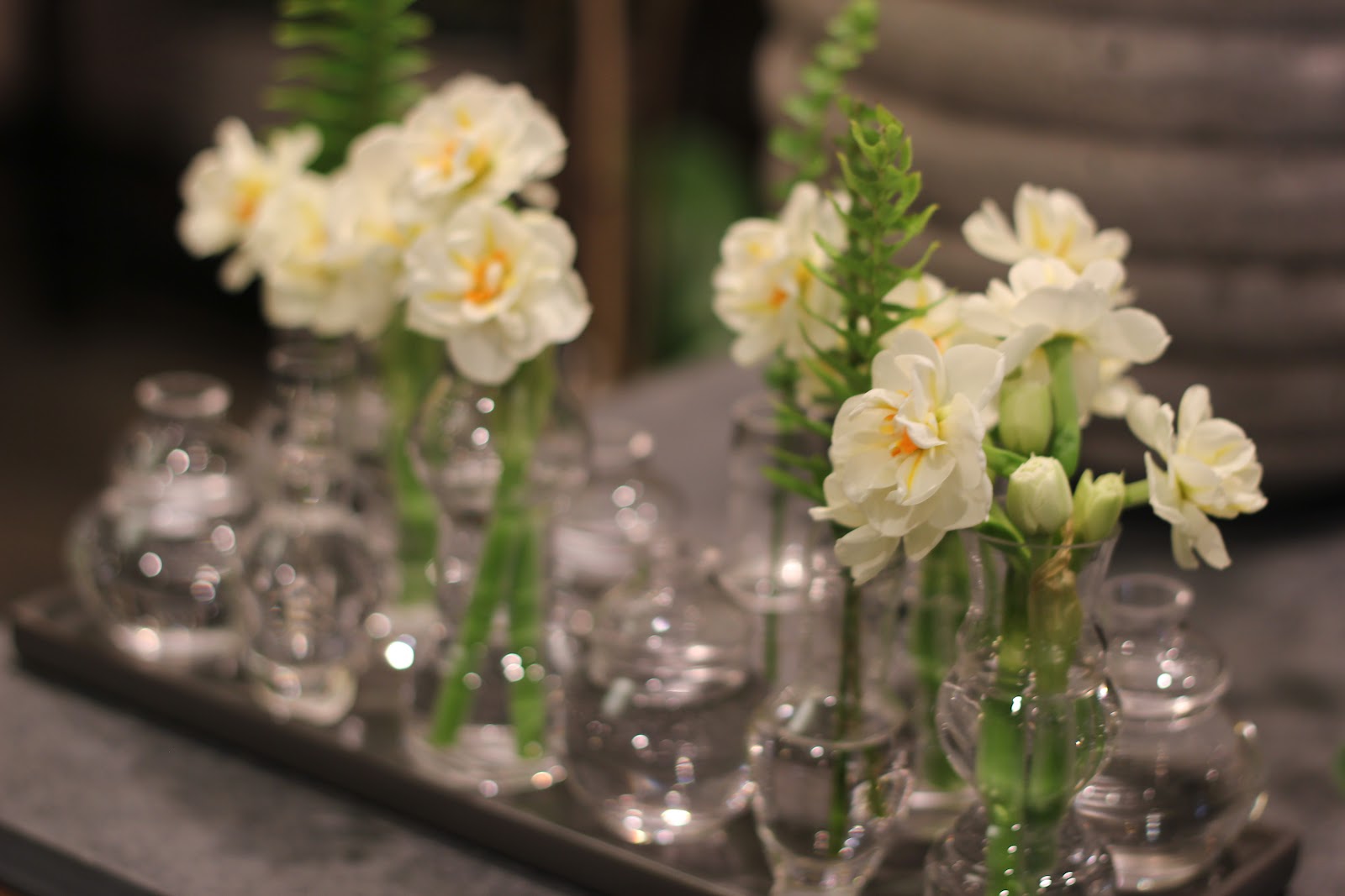 Jenny Steffens Hobick Around Our Town Winston Flowers in Concord, Ma.