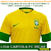 LIGAS DO CARTOLAFCDICAS