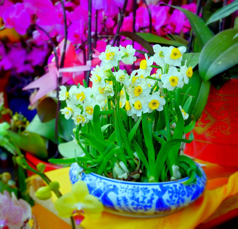 A Guide to Planting Flower Bulbs Story News Updates