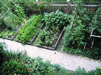 Small Vegetable Garden Design on Garden Decoration In 2012  Vegetable Garden Design 2011