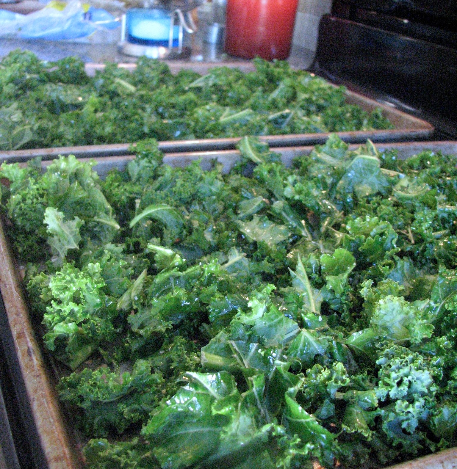 Conscious Eatery Smoky Kale Chips