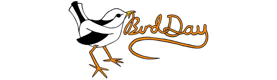 Bird Day Design