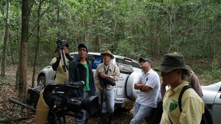 Venadillo, Tolima