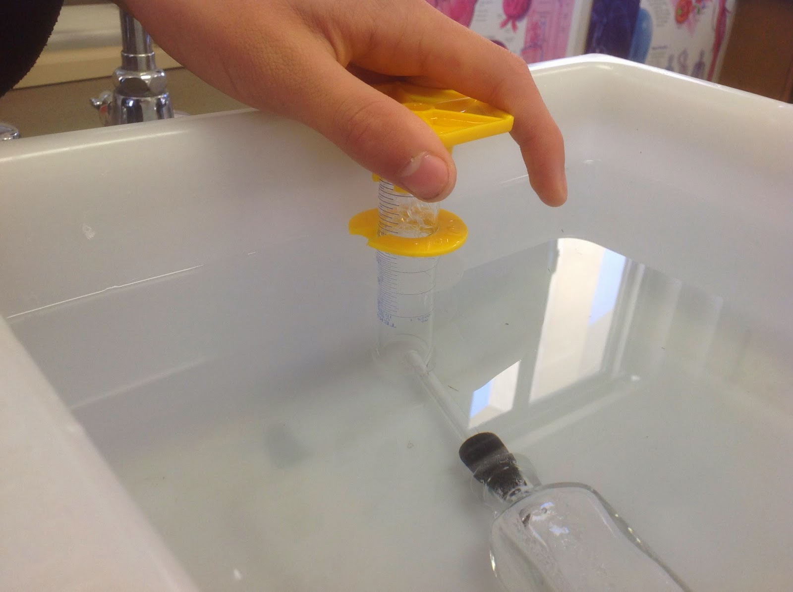 Biology Honors Blog Dialysis Tubing Lab