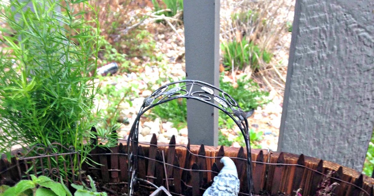 Twentysomething: DIY Gnome Garden