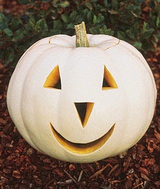 List of different types of pumpkins: White Pumpkin