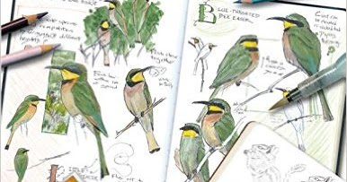 The Laws Sketchbook for Nature Journaling • John Muir Laws