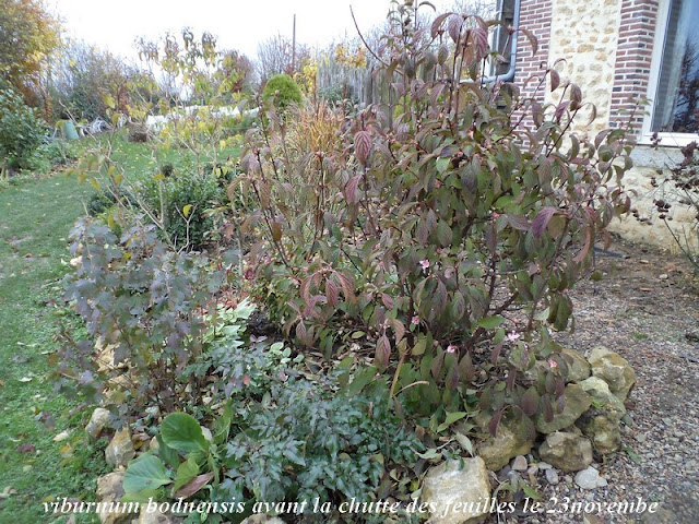 La Biodiversite De Mon Jardin Ou Comment Preserver Et Accueillir