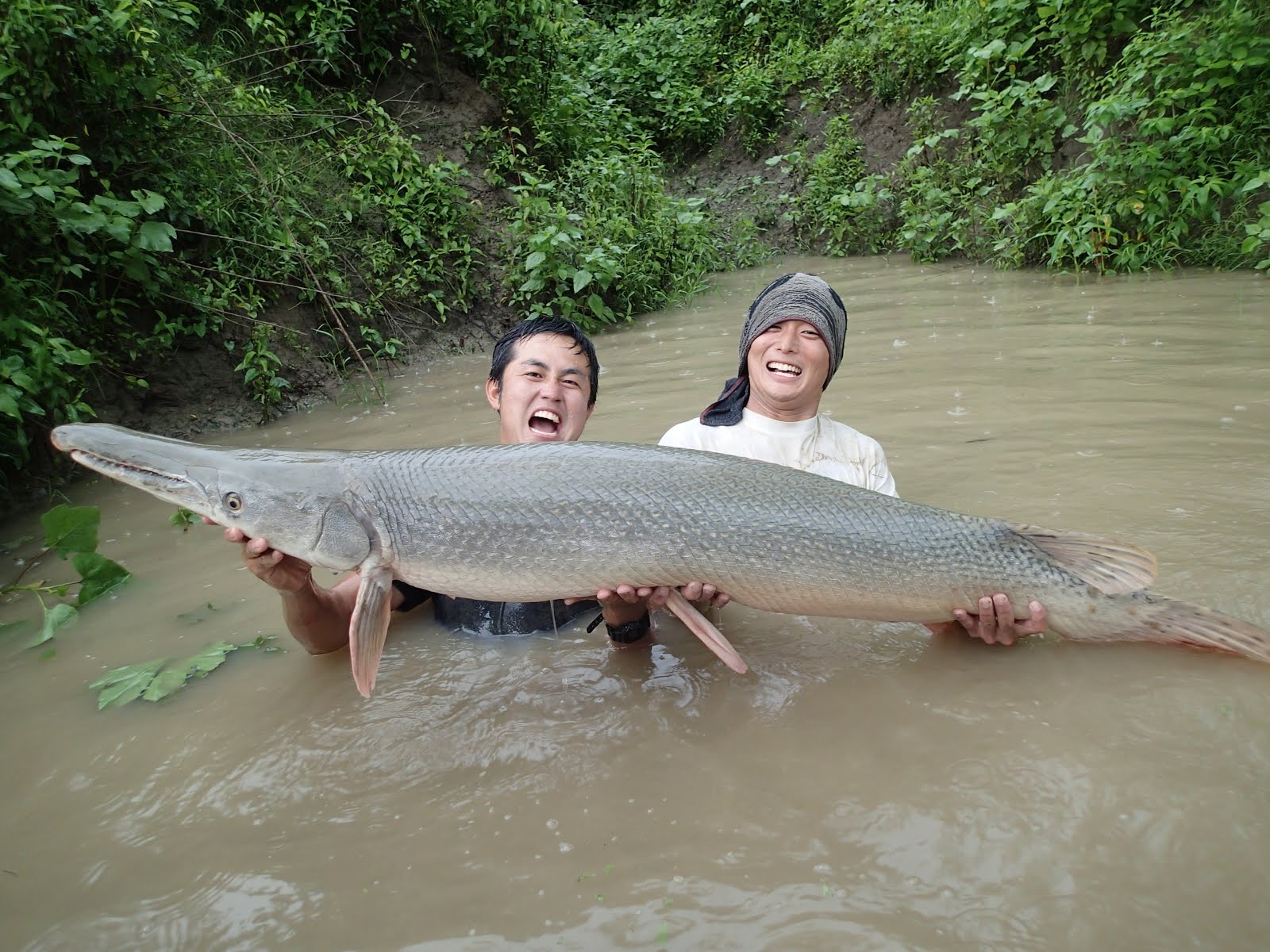 怪魚と世界の旅ノート ヘラチョウザメを探す旅 In アメリカ