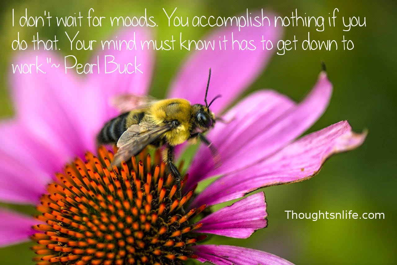 Thoughtsnlife.com: I don't wait for moods. You accomplish nothing if you do that. Your mind must know it has to get down to work."  ~ Pearl Buck