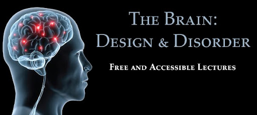 The Brain: Design & Disorder