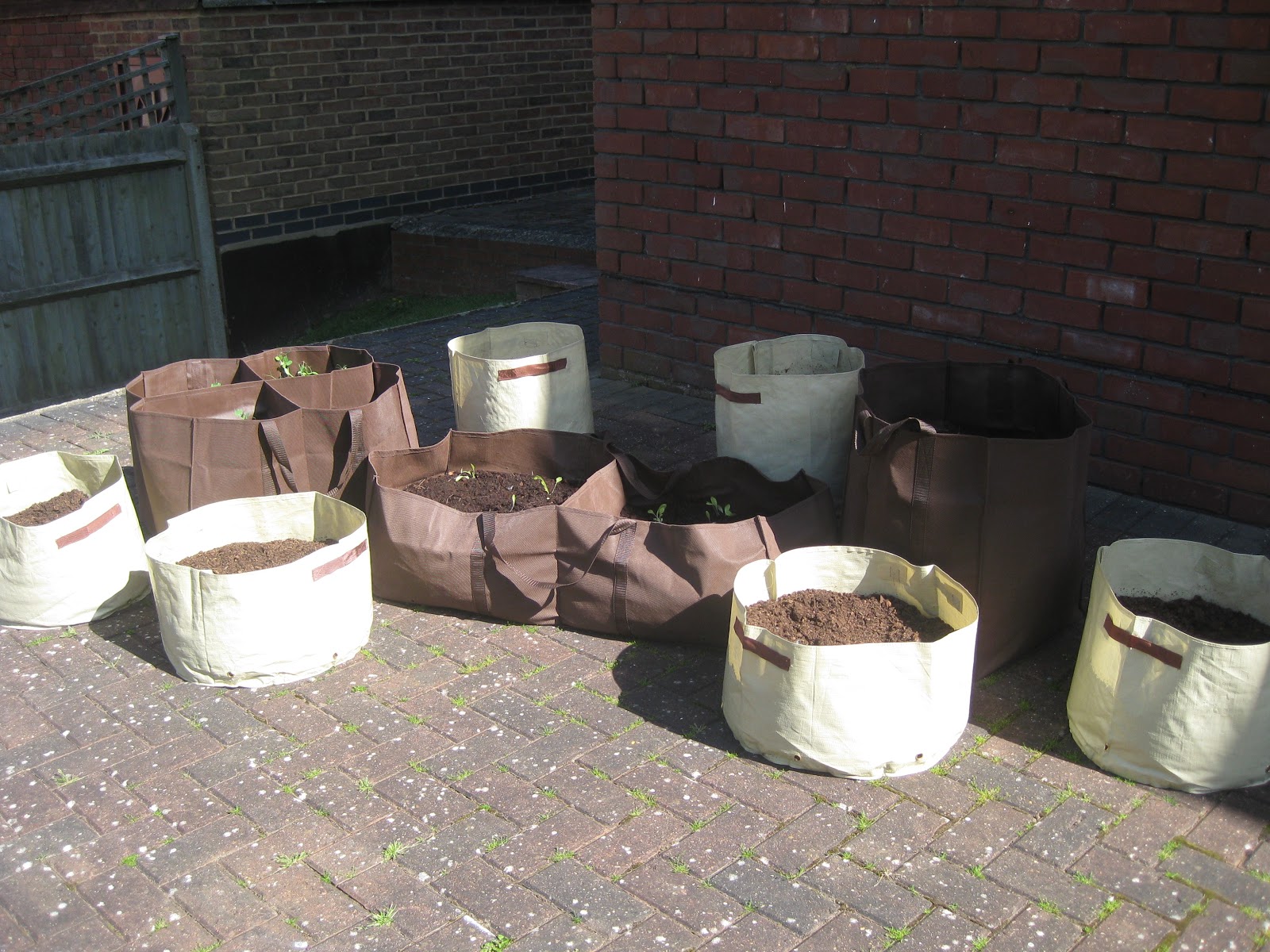 Portable Container Garden