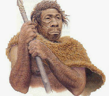 http://pedroitb.blogspot.com/2014/03/historia-homem-de-neandertal-cacava-e.html