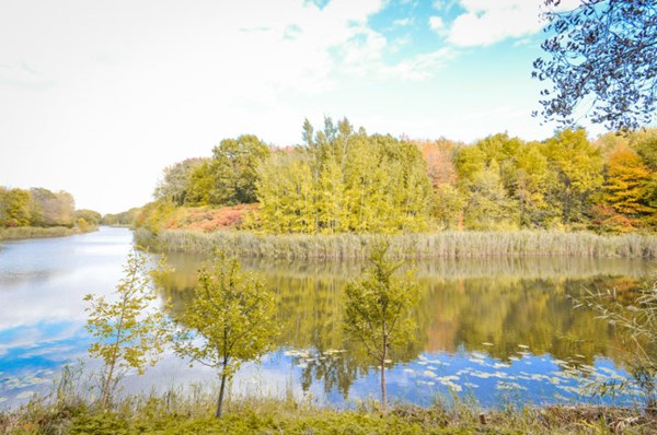 [Image: montreal-mua-thu-4.jpg]